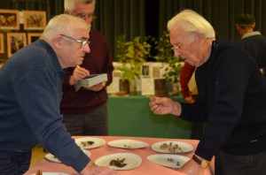 Gaston Garnier, Maurice Michaud et Paul Leroy